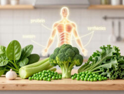 Cara Memilih Jenis Sayuran yang Membantu Sintesis Protein dalam Tubuh